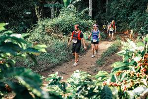 BIB: 
                            <button type="button" onclick="openModal(25848873)" class="btn btn-primary btn-sm float-right btn-popup" data-toggle="modal" data-target=".modal-high-quality">
                        <i class="fas fa-shopping-cart"></i> Add to Cart
                    </button>
                                            <button type="button" onclick="isThisMe(25848873, true)" class="btn btn-success btn-sm float-right btn-popup btn-isme hidden" data-toggle="tooltip" data-placement="bottom" title="นี่คือรูปของคุณใช่ไหม คลิกที่นี่เพื่อเอาเข้าอัลบั้ม">
                        <i class="fas fa-plus"></i> Add to album
                    </button>
                    <button type="button" onclick="isThisMe(25848873, false)" class="btn btn-warning btn-sm float-right btn-popup btn-isnotme hidden">
                        <i class="fas fa-ban"></i> Remove from album
                    </button>